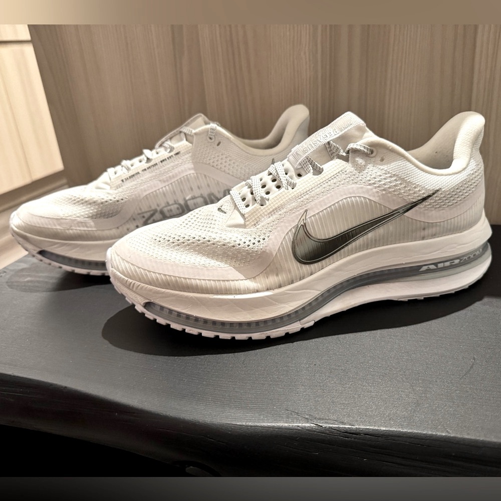 Nike Air Max Pegasus 2025 White and Gray Running Shoes